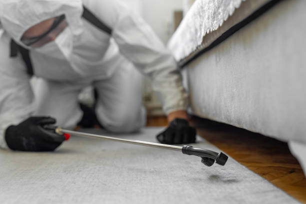 Professional Termite Control technician working in Schenectady, NY