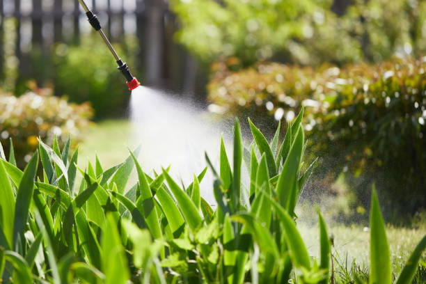 24/7 Emergency Termite Control experts in Schenectady, NY