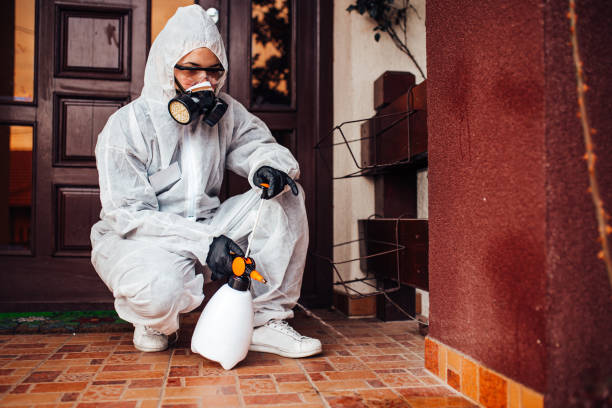 Reliable Termite Control contractor in Schenectady, NY by Nex Pest Control